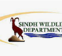 Sindh Wildlife Logo