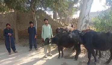 پوليس ڏوهارين وچ ۾ مقابلو،نامعلوم چور فرار ٿيڻ ۾ ڪامياب