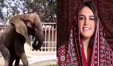 بختاور ڀتو زرداري جو ڪراچي چڙيا گهر کي بند ڪرڻ جو مطالبو