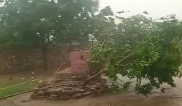 سامونڊي پٽي ۾ قلم 144 لاڳو، مھاڻن جي شڪار تي پابندي