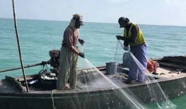 مهاڻن جي قسمت جاڳي پئي، ڪروڙين رپيا ماليت جون مڇيون هٿ