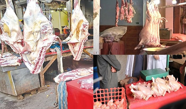 Chicken Meat