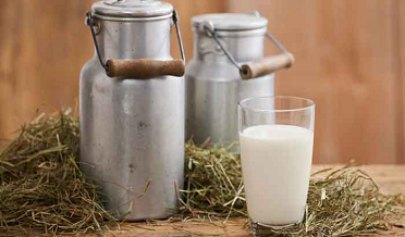 خيرپور ۾ زهريلو کير پيئڻ سبب هڪ ئي ڪٽنب جا 6 ڄڻا فوت
