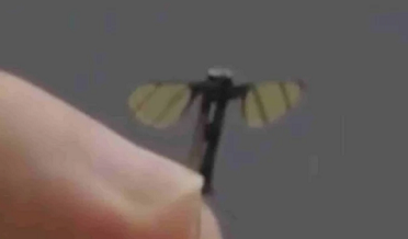Mosquito drone