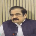 PML N Leader