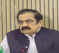 PML N Leader