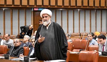 Opposition Leader in Senate