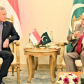Foreign Minister of Singapore meets Ishaq Dar