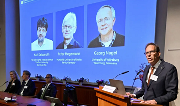 American Karl Deisseroth and Germans Peter ​Hegemann and Georg Nagel won the 2026 Nobel Prize in Physiology or Medicine
