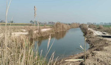 Punjab's chemical mixed drain water to Sindh